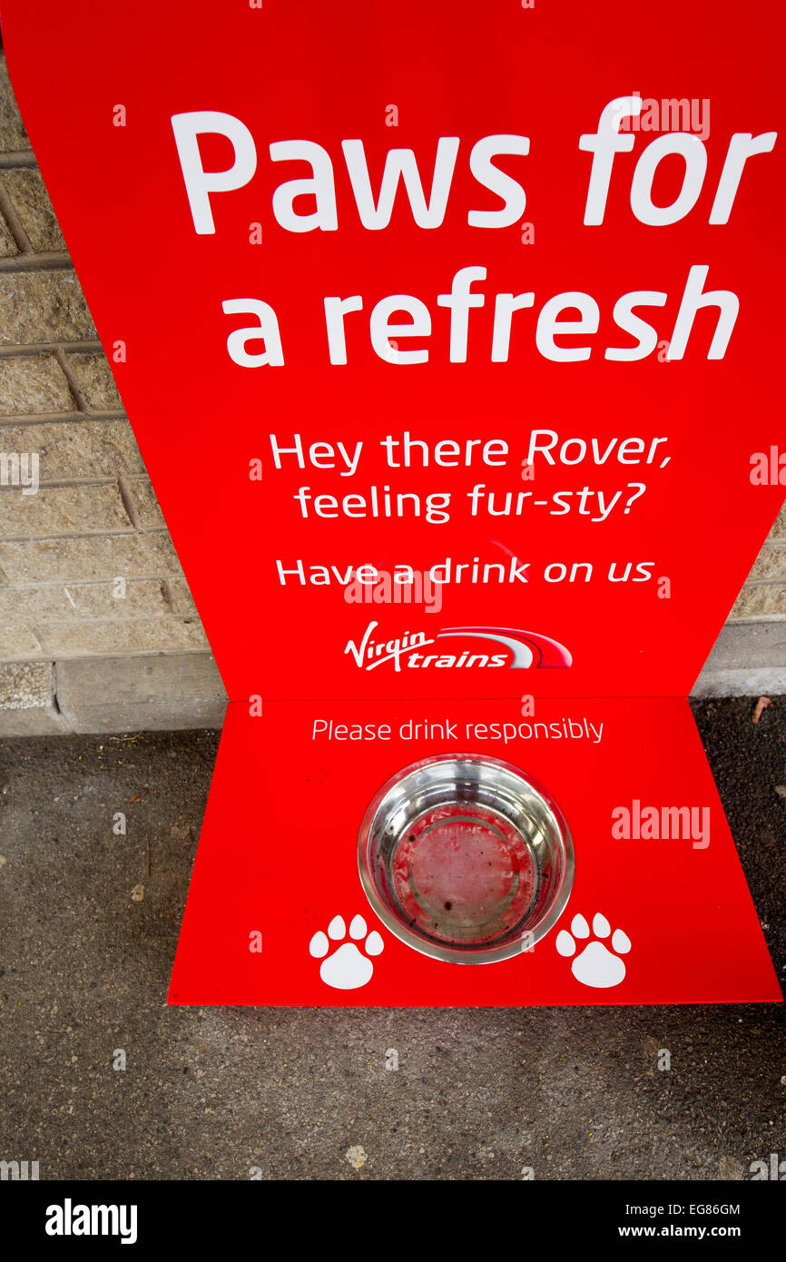 Railway Station Paws for a refresh Hey there Rover feeling fur-sty Have a drink on us - Virgin Trains water bowl & sign Stock Photo