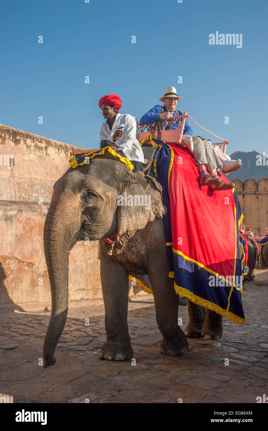 JAIPUR, RAJASTAN, INDIA - January, 27: Decorated elephant at Amber Fort on December, January, 27, 2013 in Jaipur, Rajasthan, Ind Stock Photo