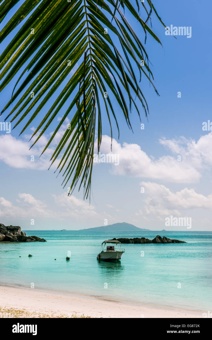 Boat On Tropical Beach At Curieuse Island Seychelles Vertical Shot Boat On Tropical Beach At Curieuse Island Seychelles Vertical Shot