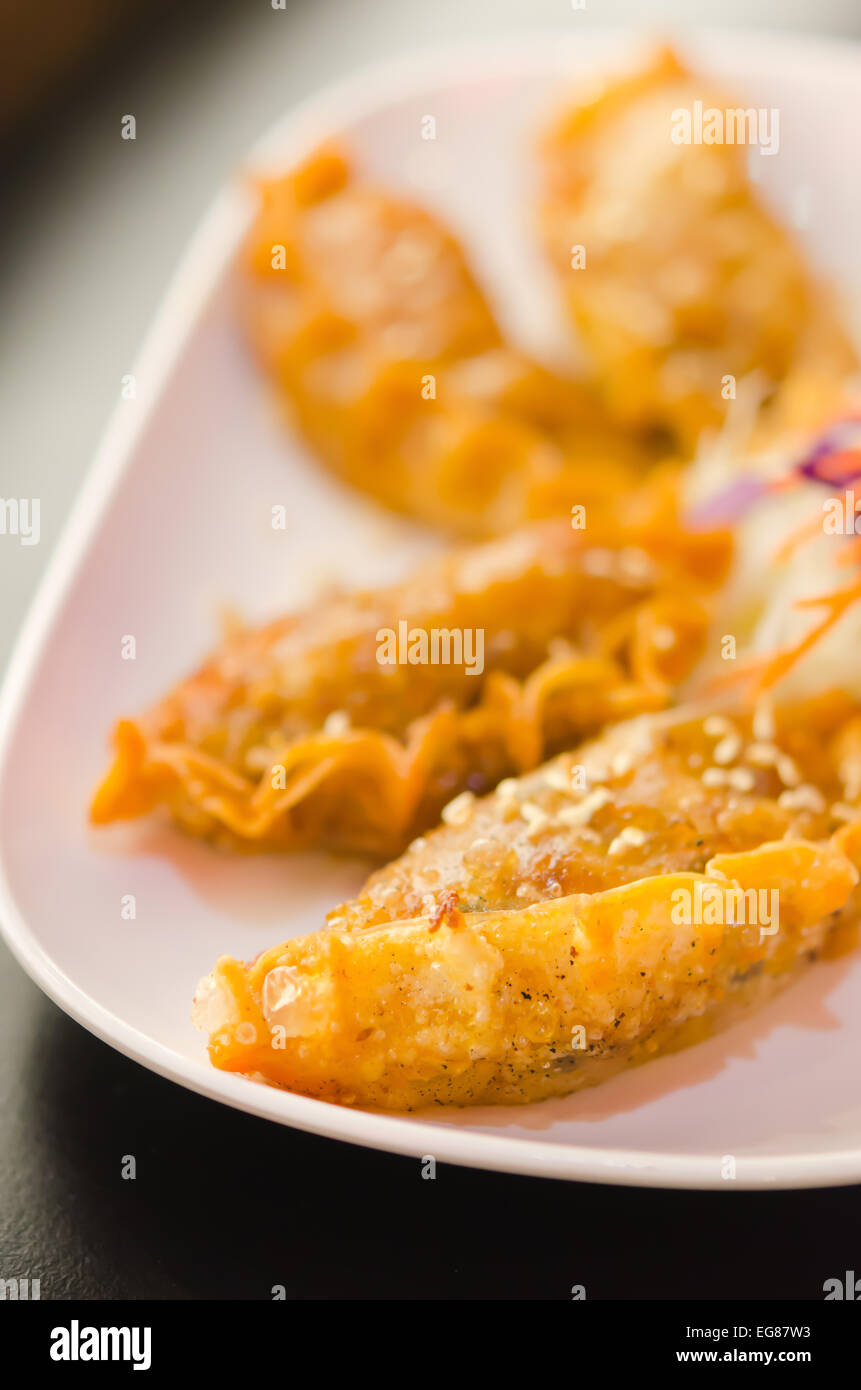 Fried Dumplings Chinese Style Cuisine Stock Photo