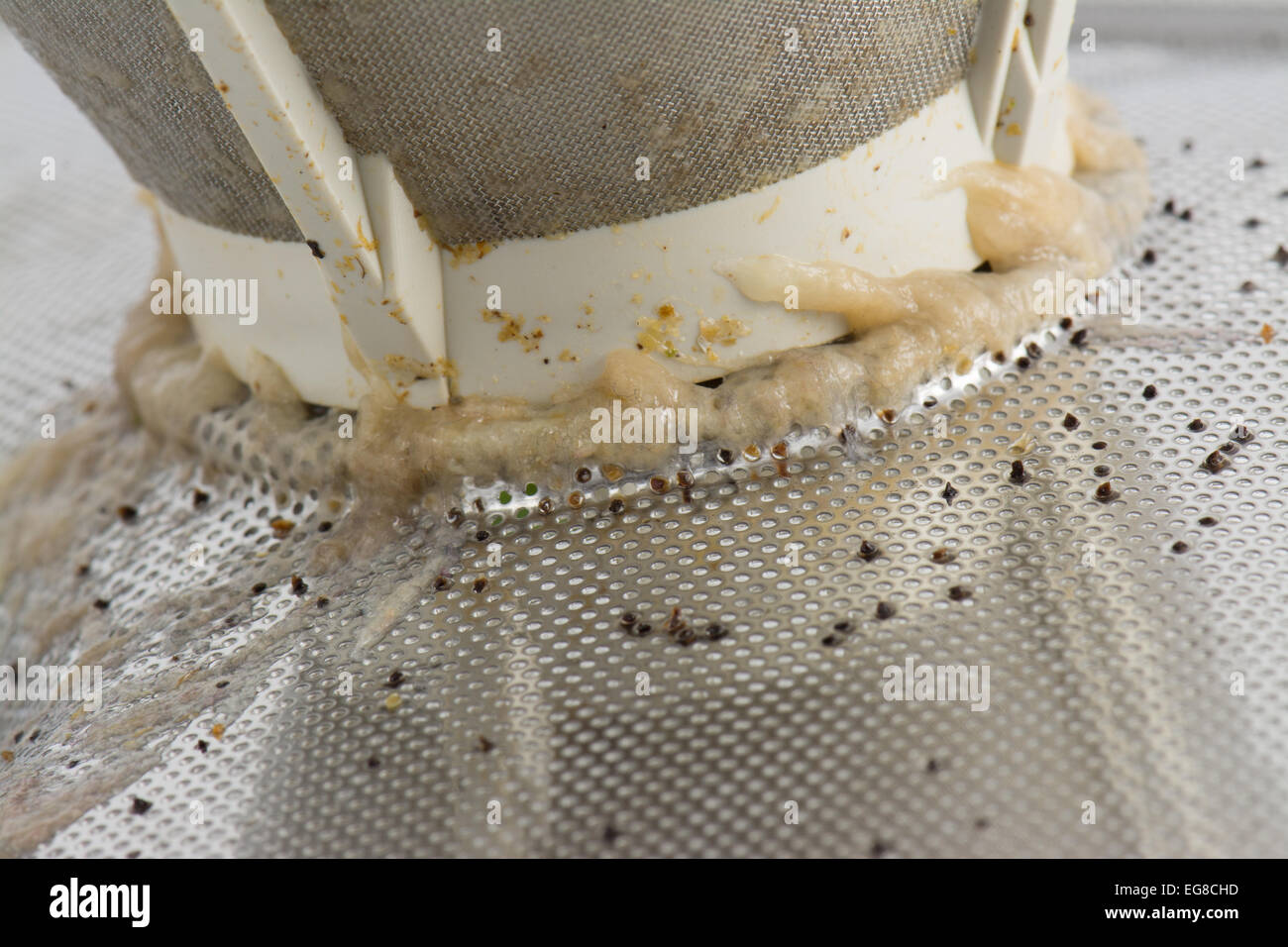 close up of dirty dishwasher filter Stock Photo - Alamy