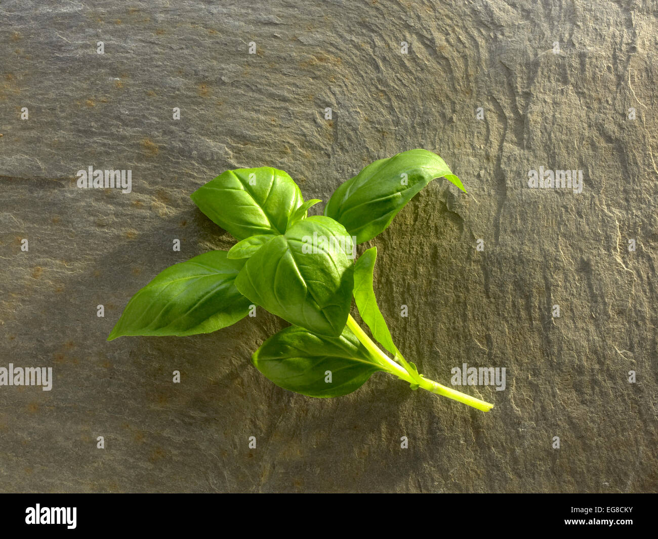 Pick herbs hi-res stock photography and images - Alamy