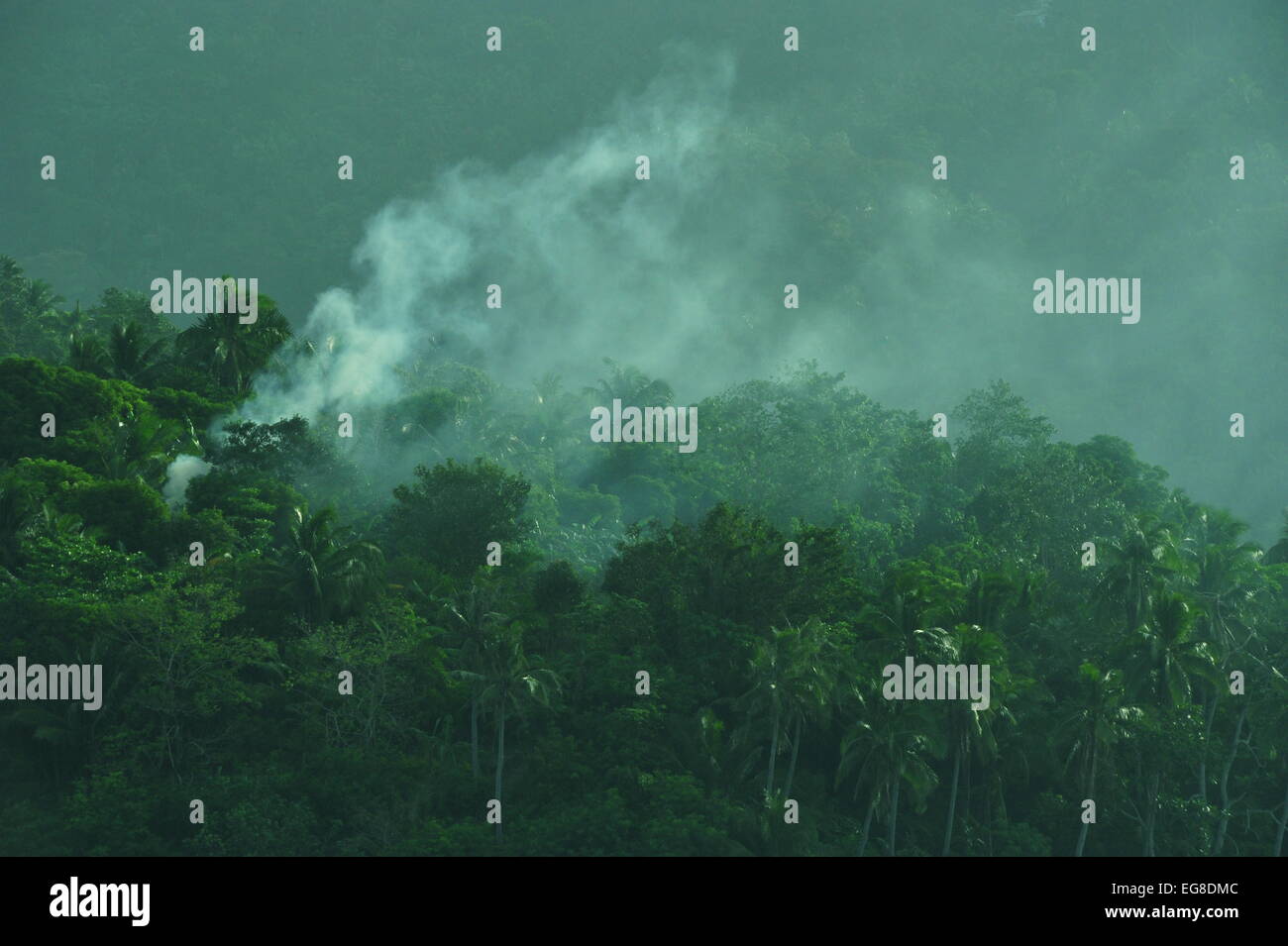 Burning Rain Forest, Romblon, Philippines Stock Photo