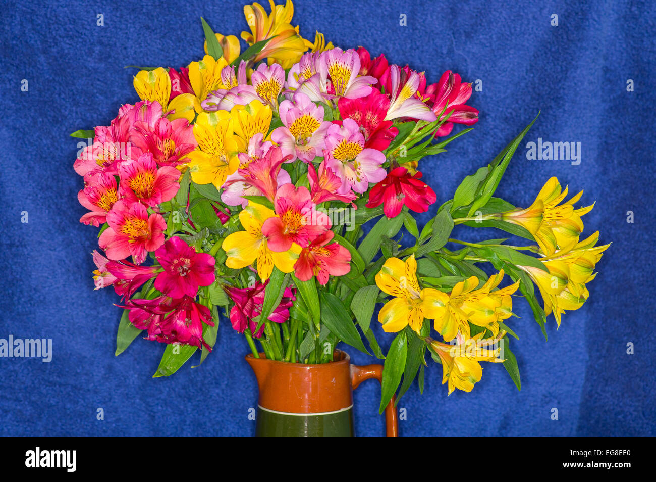 Tiger Lilies in a vase Stock Photo Alamy