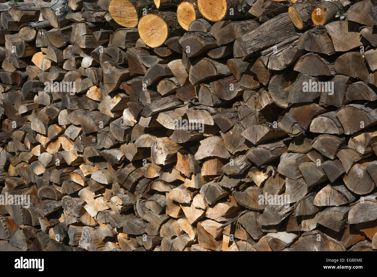 WOODPILE Stock Photo Alamy