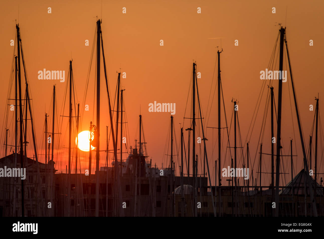 MARINA Set in RED main image 0