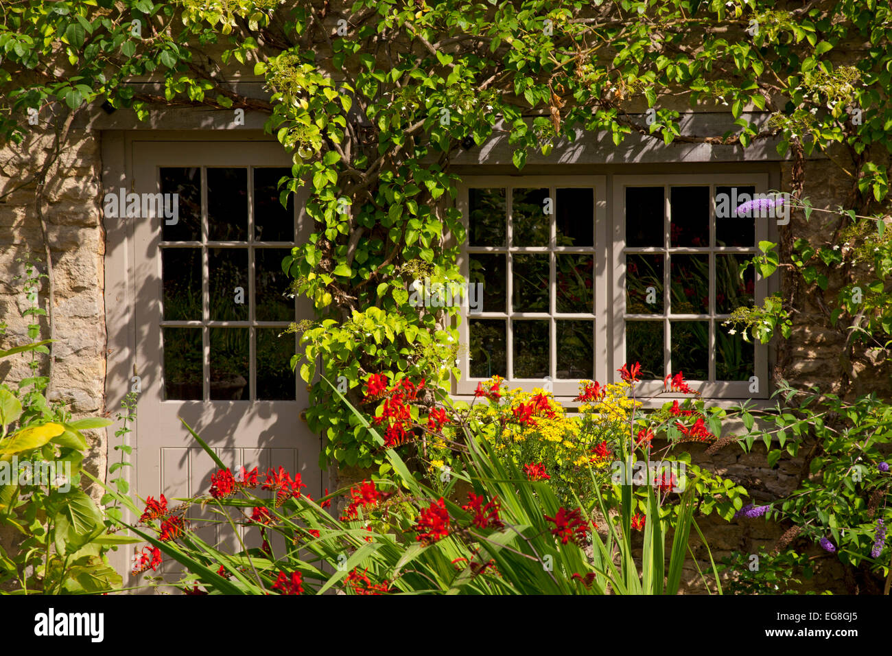 pretty cottage door and window in English garden framed with climbing plant and Crocosmia ,Oxfordshire,England Stock Photo