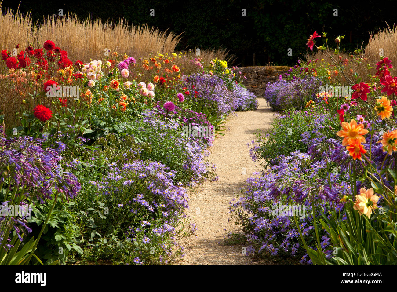 Gravel path with Early Autumn Boarders in English garden,Oxfordshire,England Stock Photo