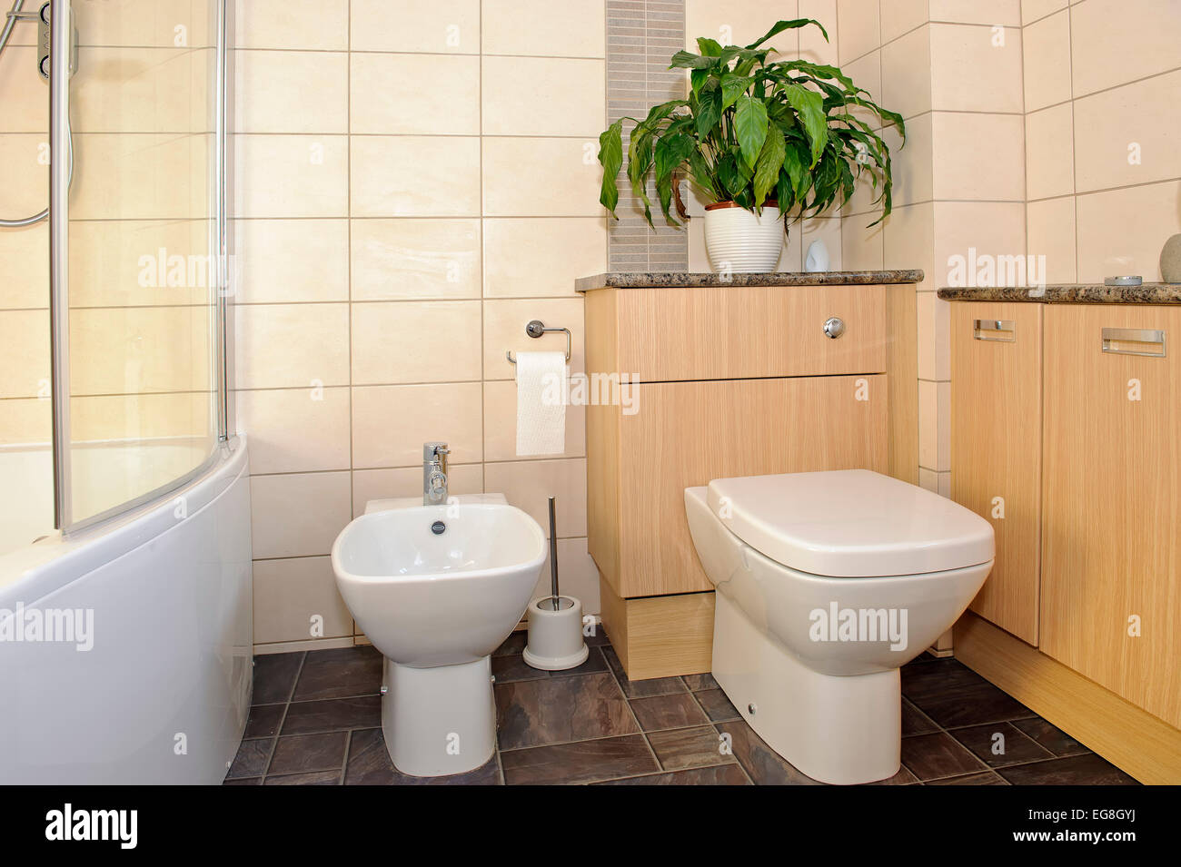 Japonés 'washlet' o super wc, que incluye el asiento, bidet, calentamiento  y secado de funciones Fotografía de stock - Alamy