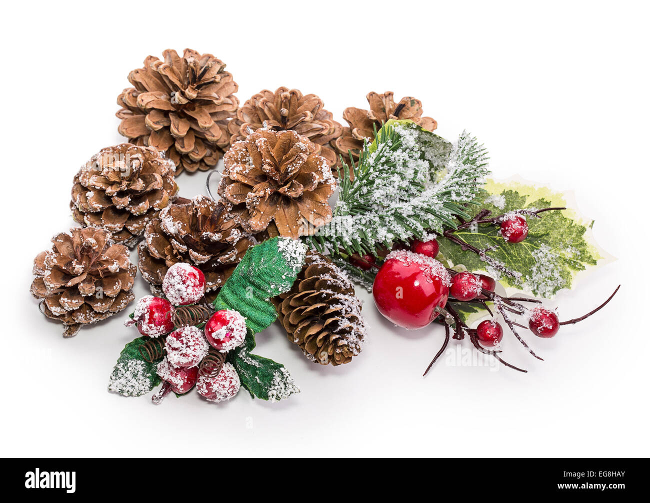 rowan bumps frost Isolated on white background Stock Photo