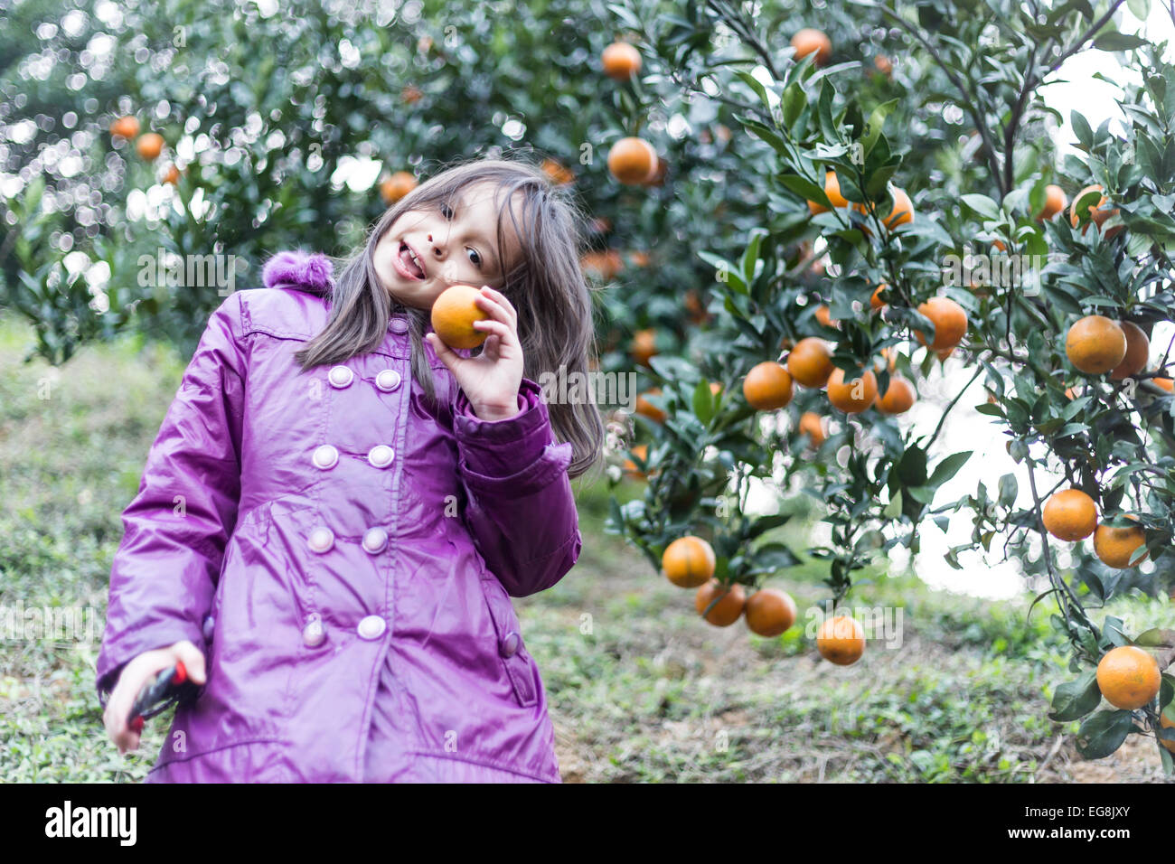 Beautiful girl holding orange hi-res stock photography and images - Alamy