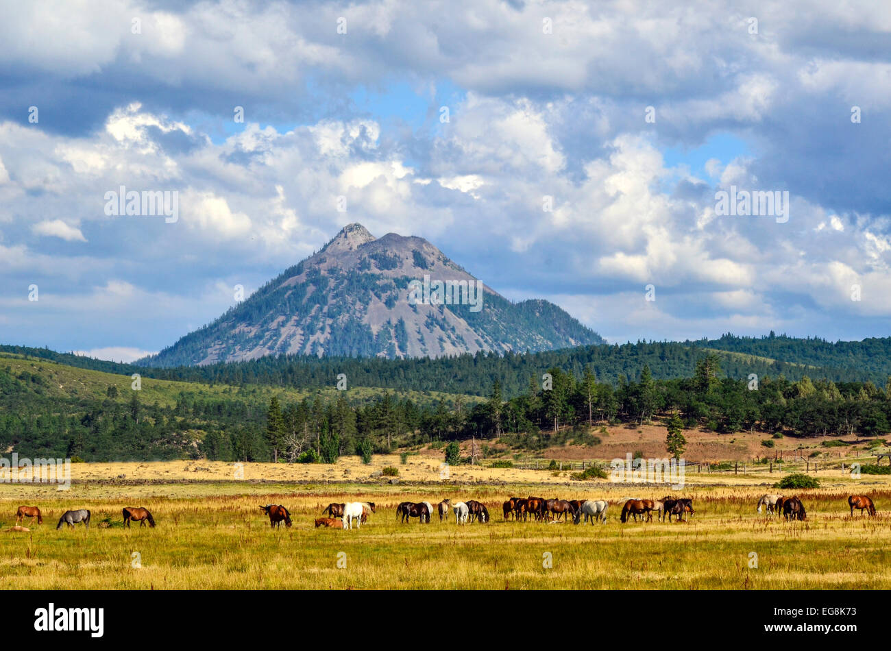Southern Cascade Range and horse ranch Stock Photo Alamy