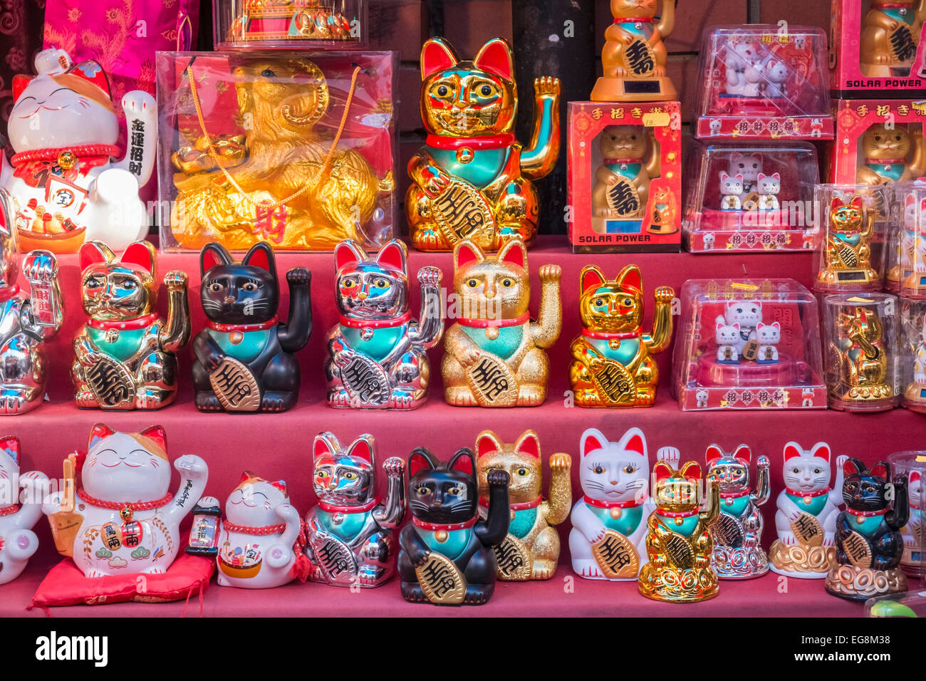 lucky cat store