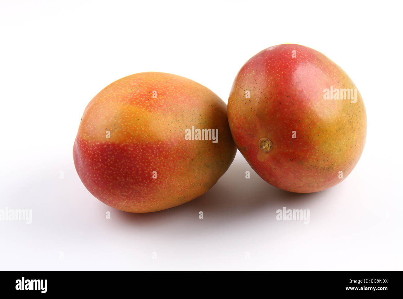 Two Ripe Mango isolated on white Stock Photo - Alamy