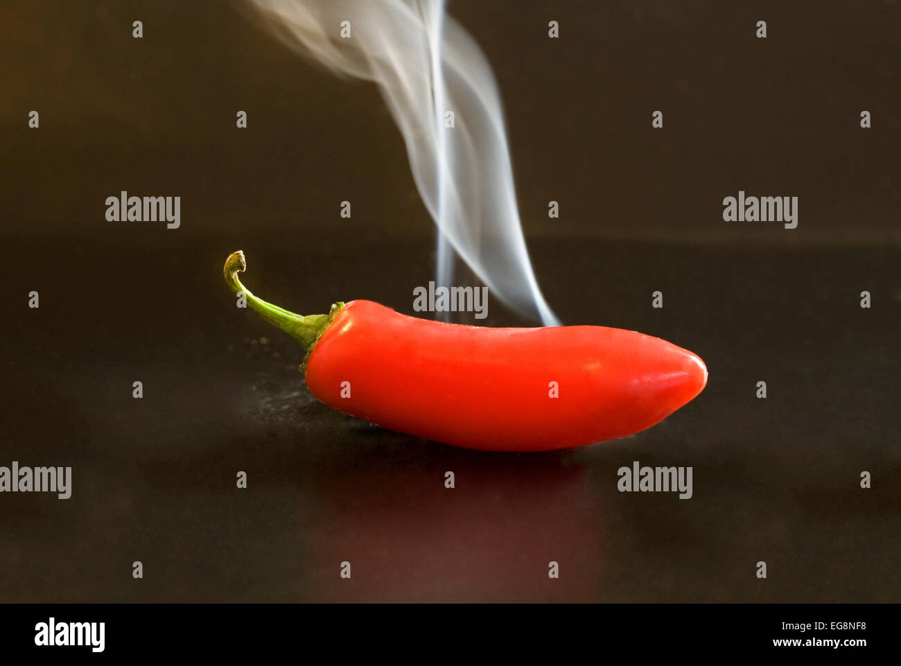 A red hot, spicy, red chile pepper Stock Photo