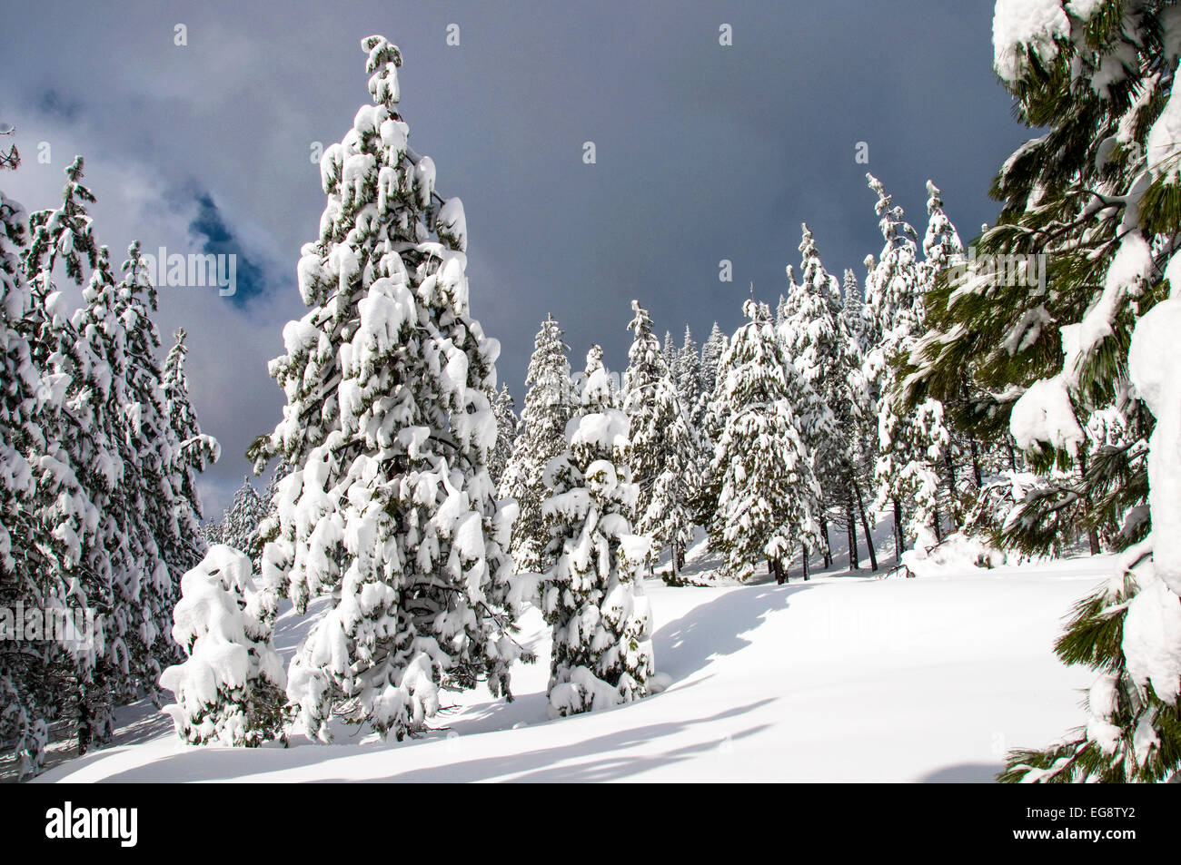 Winter at Mount Shasta, California Stock Photo Alamy