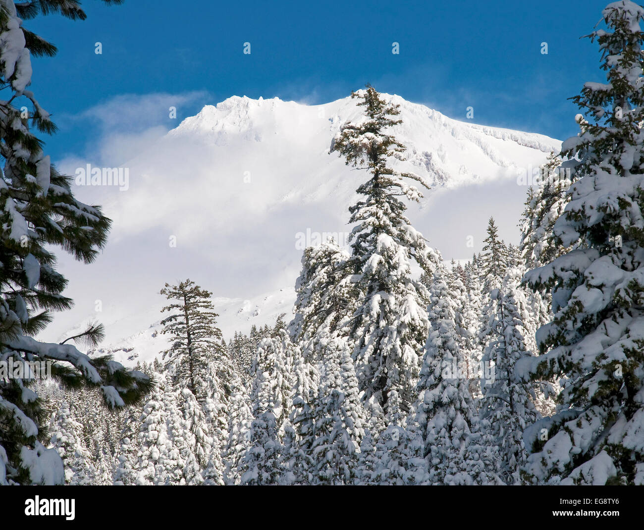 Winter at Mount Shasta, California. Stock Photo