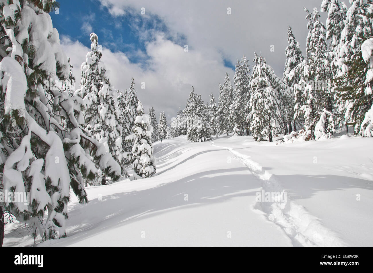 Mount Shasta area winter scene Stock Photo Alamy