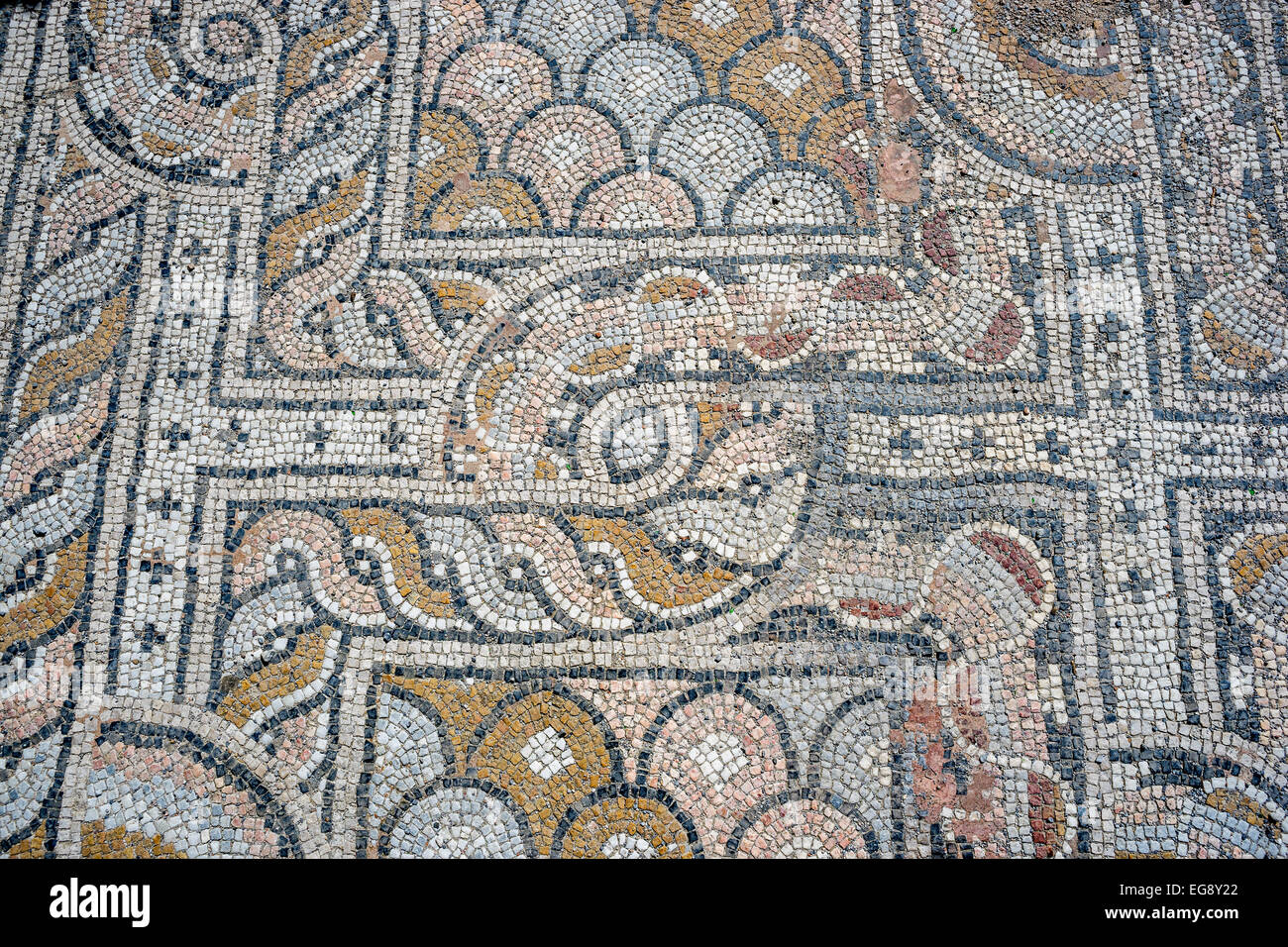 Ancient Roman mosaics City of Kos Stock Photo