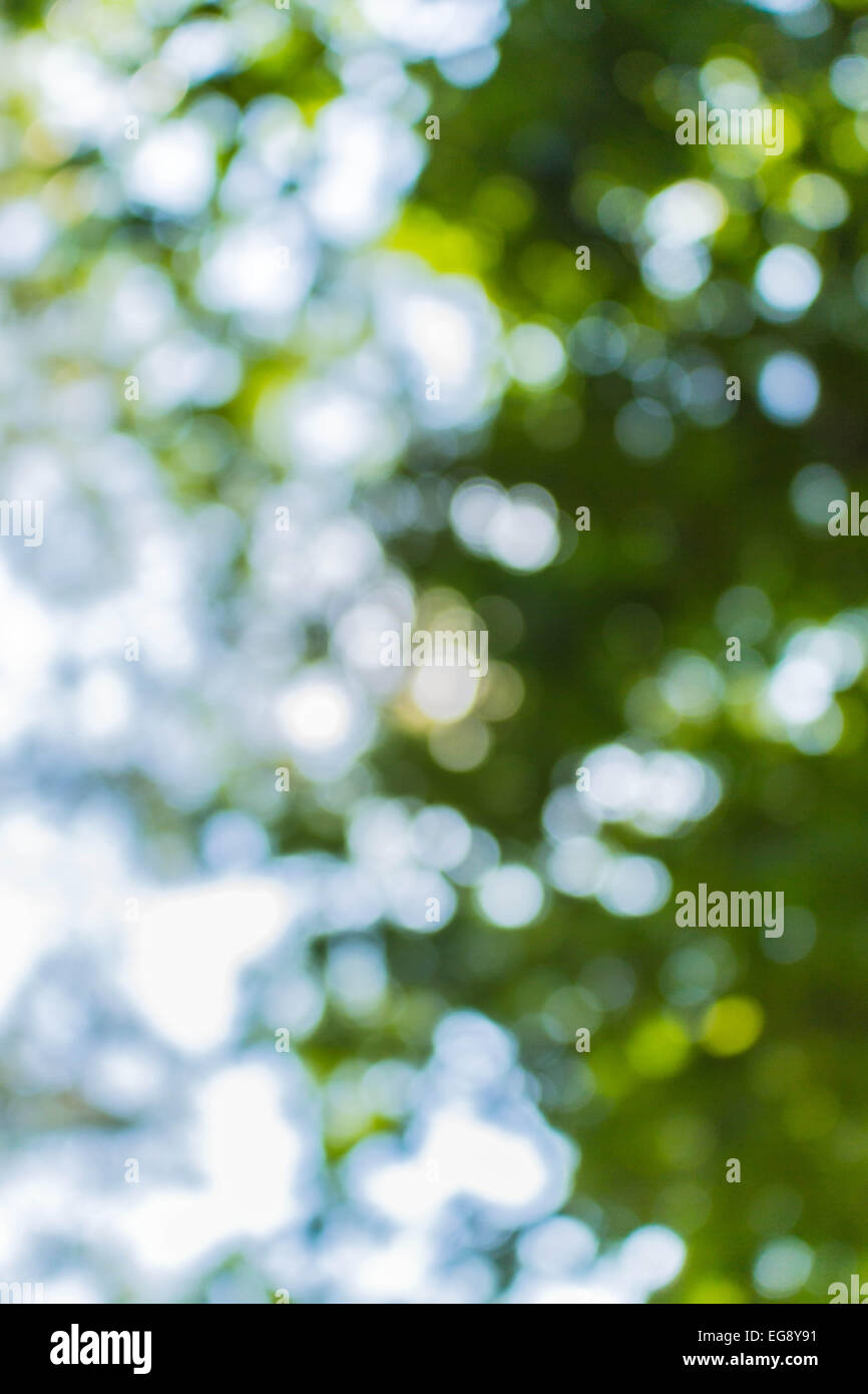 Use light during the day hi-res stock photography and images - Alamy