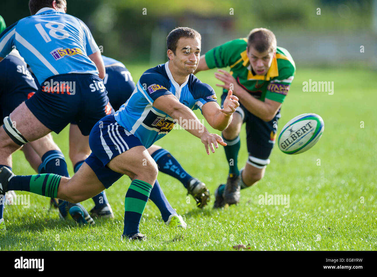 Rugby, scrum half in action Stock Photo Alamy