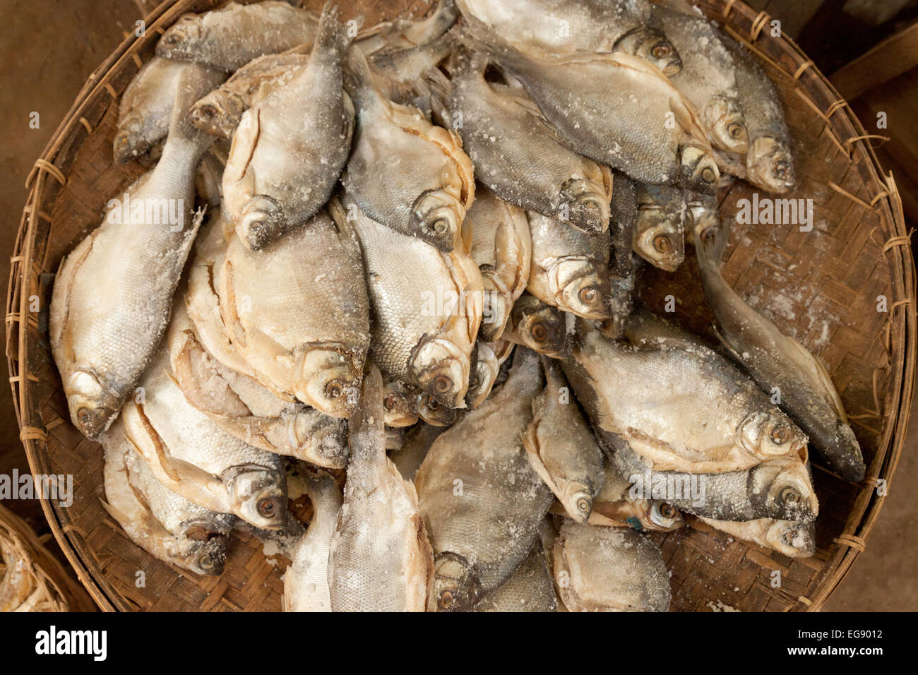 Dried fish for sale in Mani Sithu market, Nyaung U village, Bagan, Myanmar ( Burma ), Asia Stock Photo
