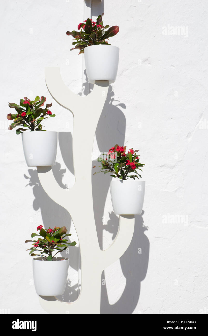Plant stand in white plastic against a white wall with plants Stock Photo