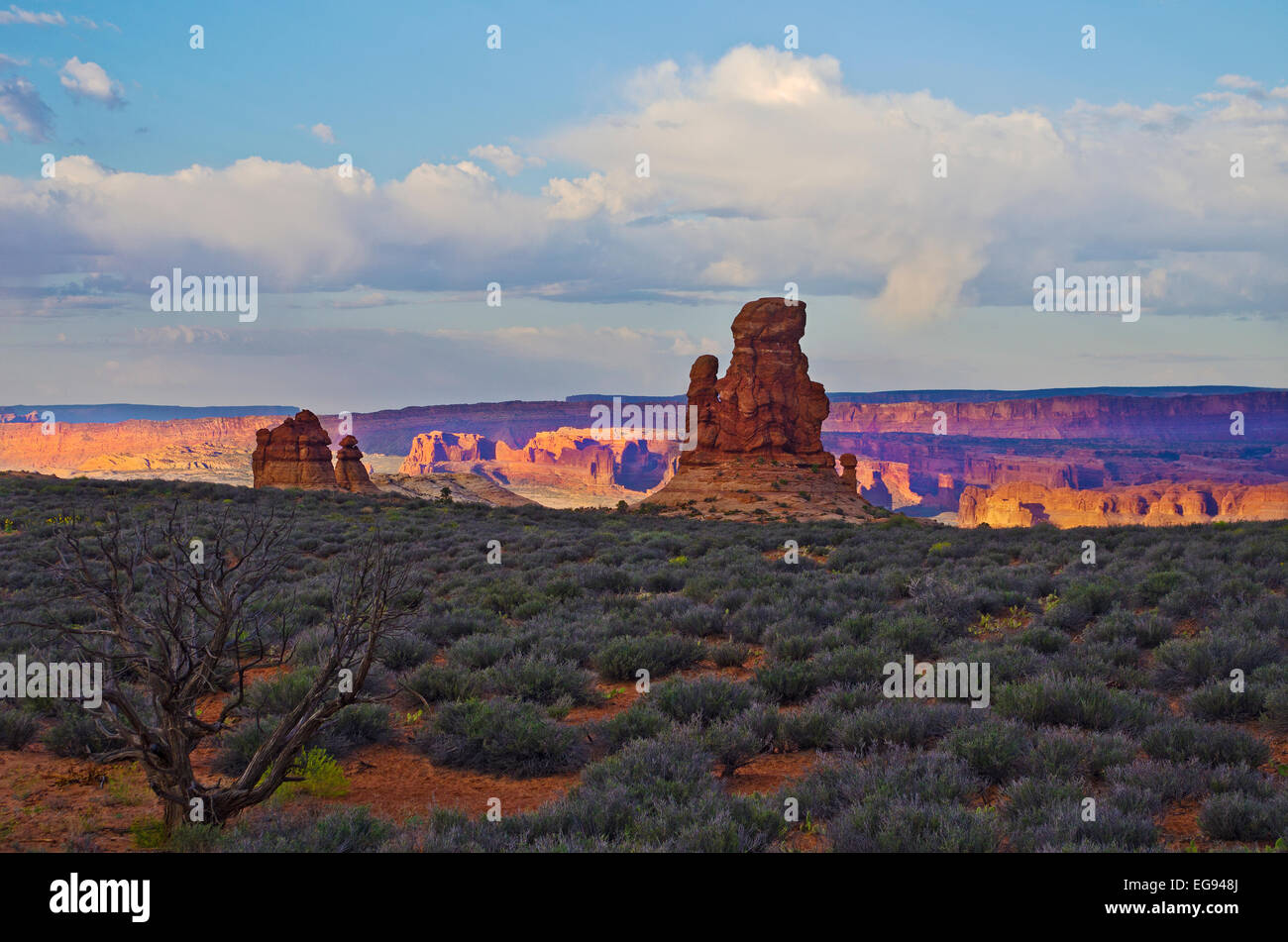 Arches National Park in the dawn light.  This is a view of the 'Great Wall' area from the area called 'Garden of Eden.' Stock Photo