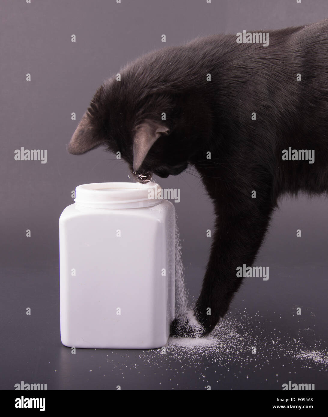 Comical image of a black cat spilling sugar out of a white jar, on dark gray background Stock Photo