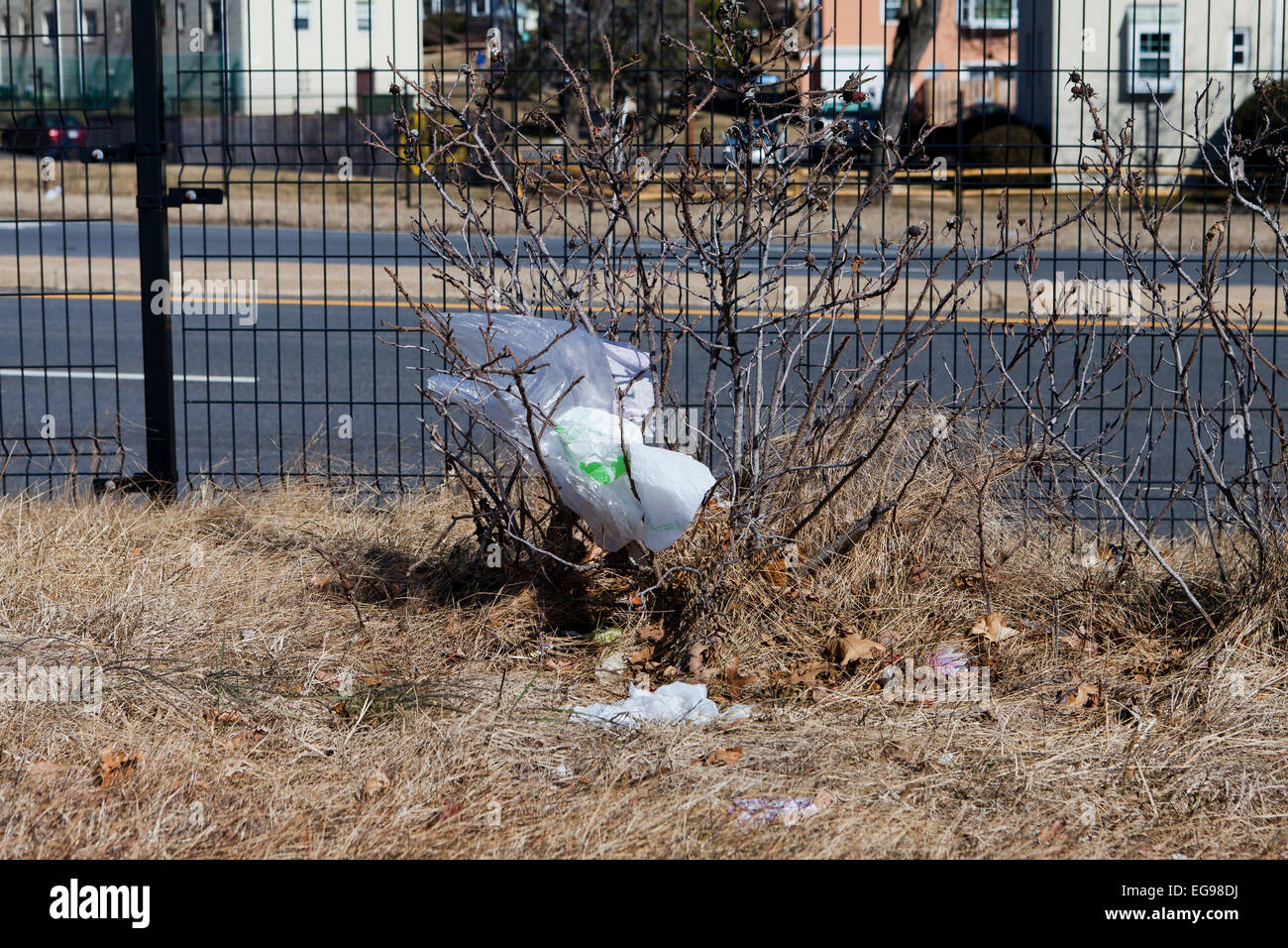 Plastic grocery bags stuck on roadside bushes USA Stock Photo Alamy