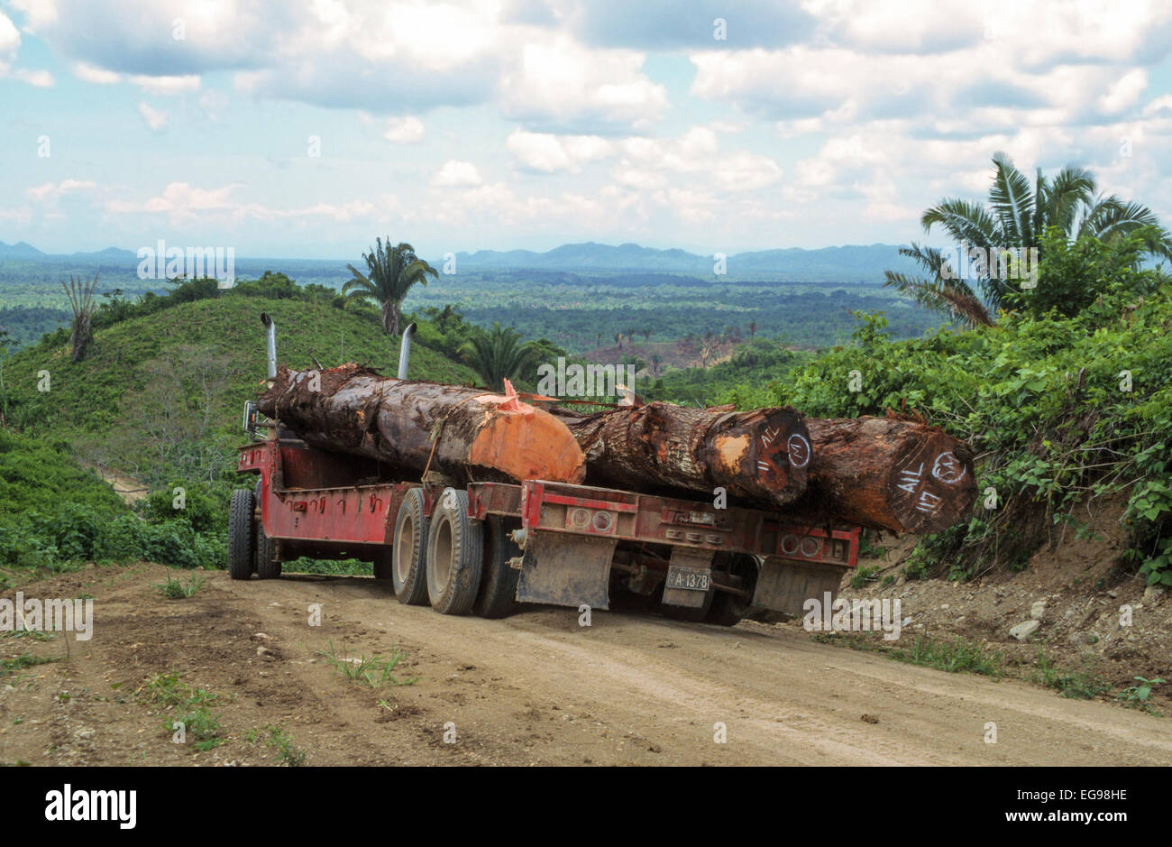Tropical rainforest logging. Truck hauling hardwood trees cut in a selective logging operation. The logs are Santa Maria (left) and Mahogany (c, r) Stock Photo