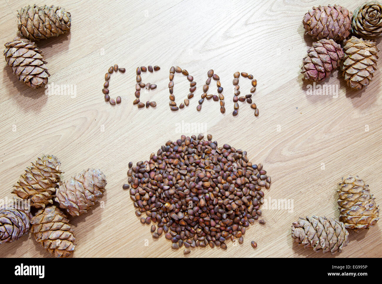 cedar cones with nuts on the floor Stock Photo Alamy