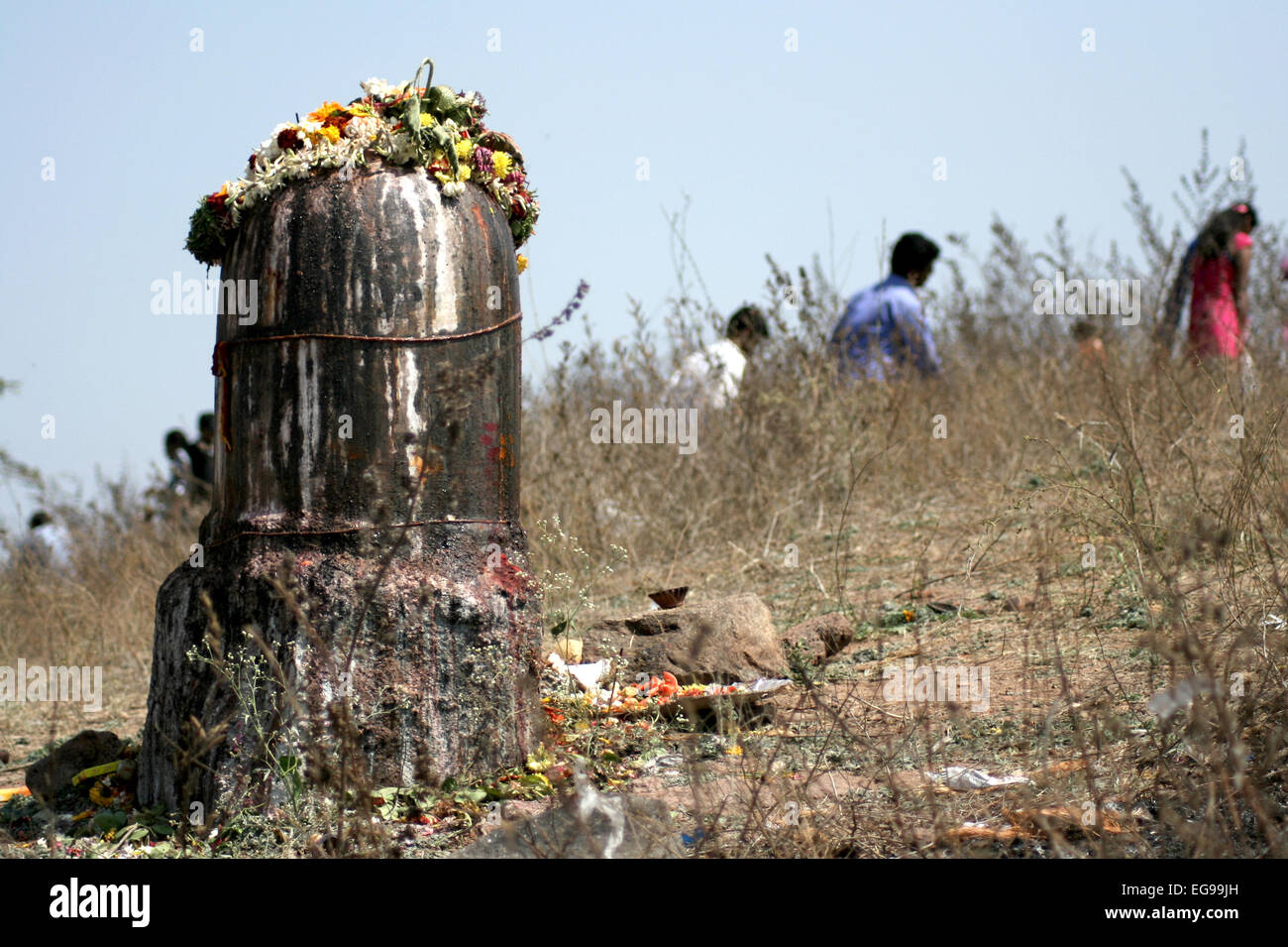 Hindu devotees perform puja to lord siva on maha sivaratri day in keesara gutta,Andhra pradesh,India on February,27,2014. Stock Photo