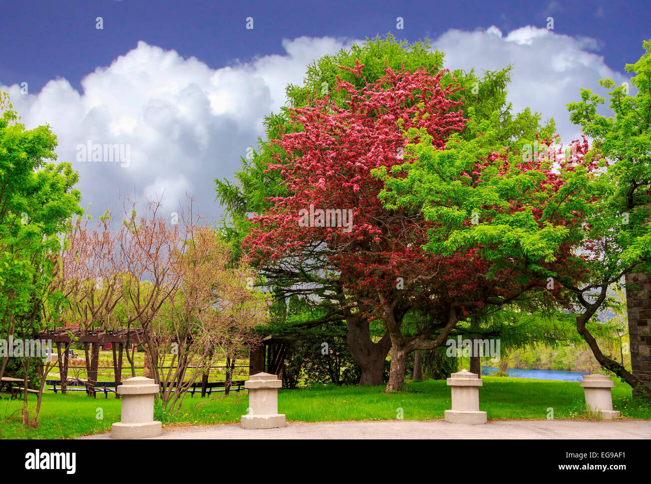Garden path in the spring Stock Photo - Alamy