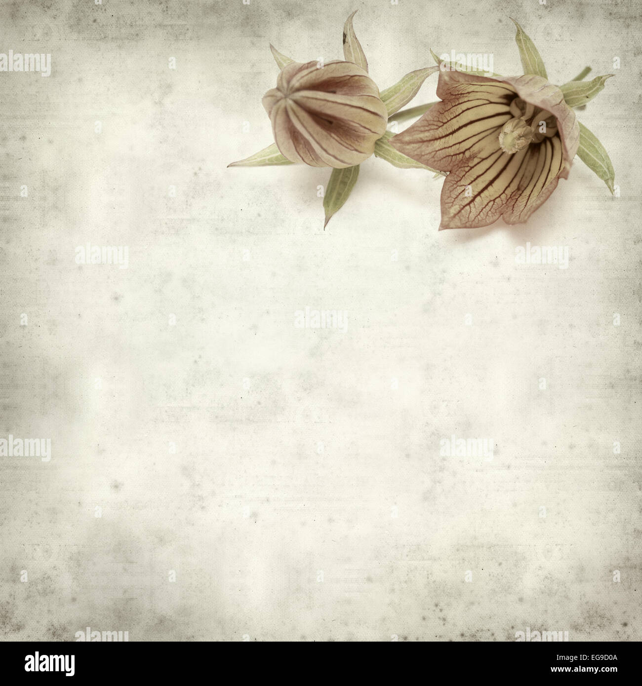 textured old paper background with Stock Photo