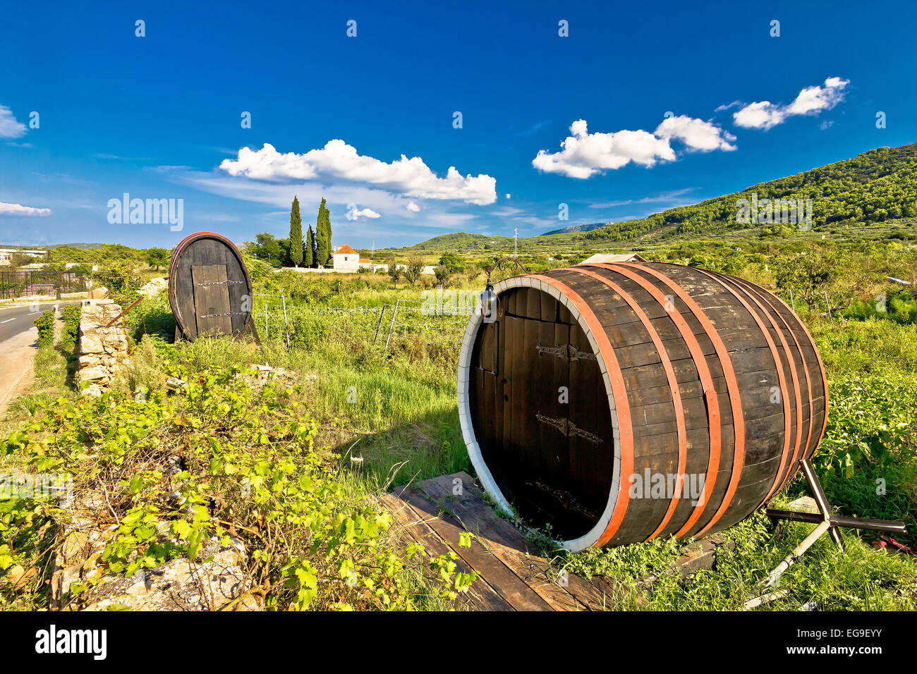 Wine barrels on Stari Grad plain, UNESCO world heritage site in Hvar island, Dalmatia, Croatia Stock Photo