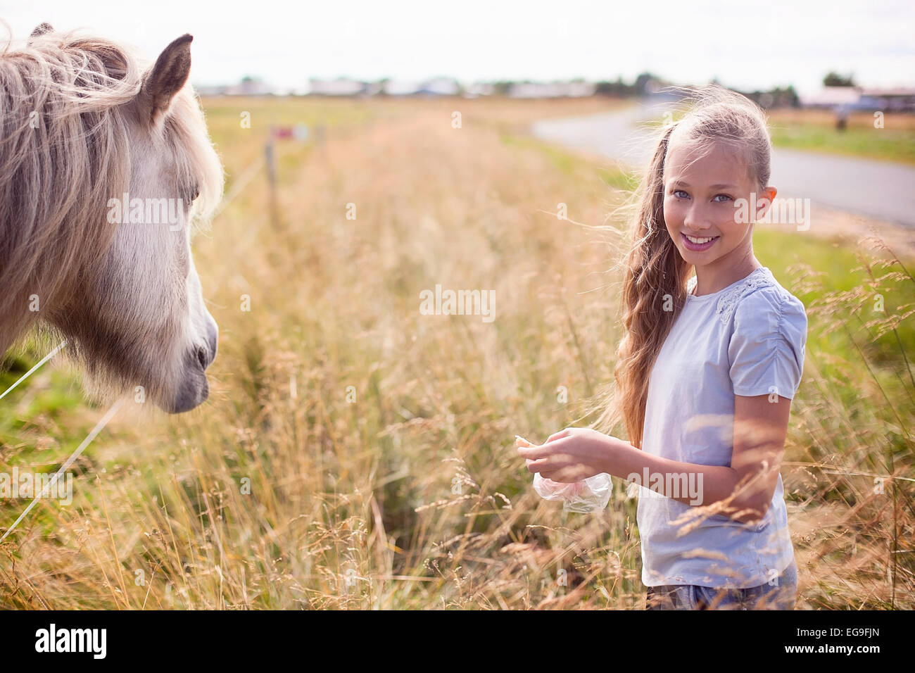 Iceland, Girl (10-11) with horse in field Stock Photo