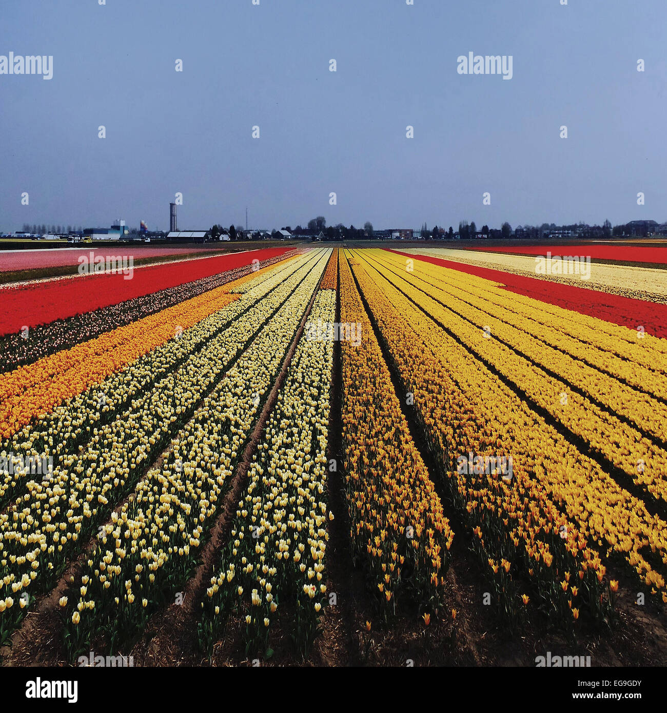 The colored field hi-res stock photography and images - Alamy