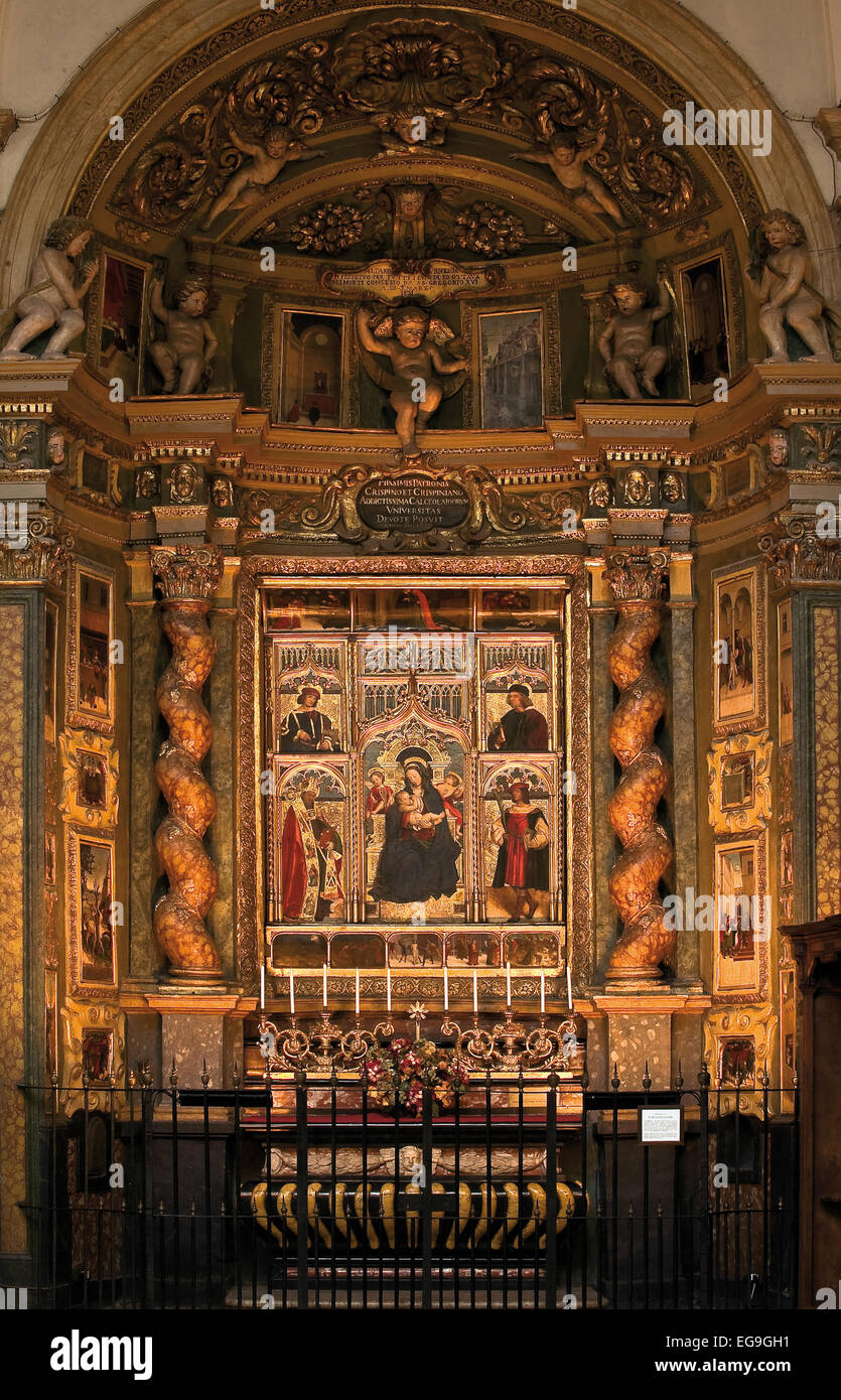 Piemonte Turin, Duomo, Chapel of the Sants Crispino and Crispinano polyptych of Defentende Ferrari Stock Photo