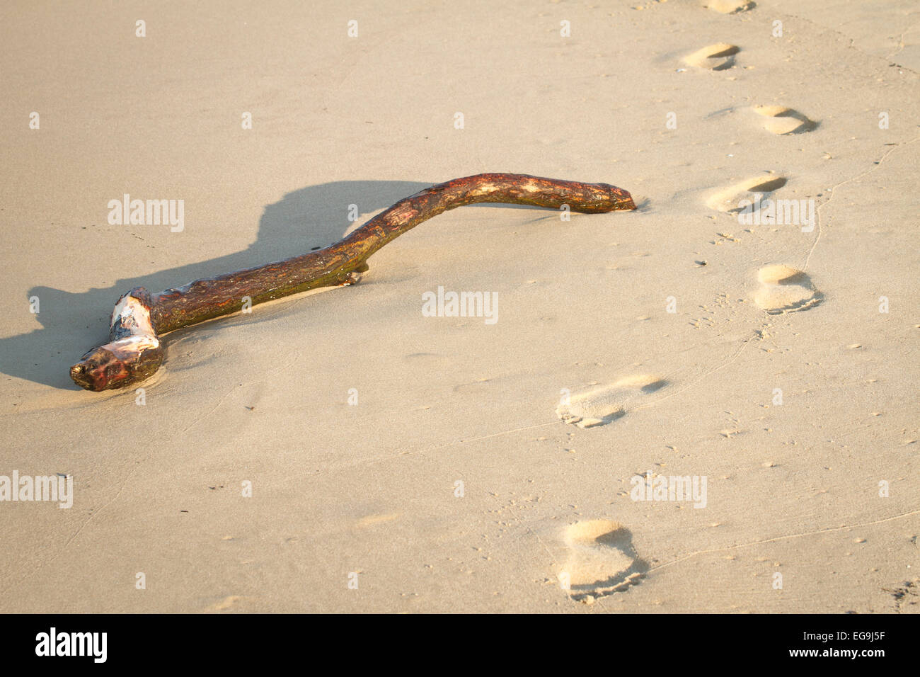 Foot steps on the beach Stock Photo - Alamy