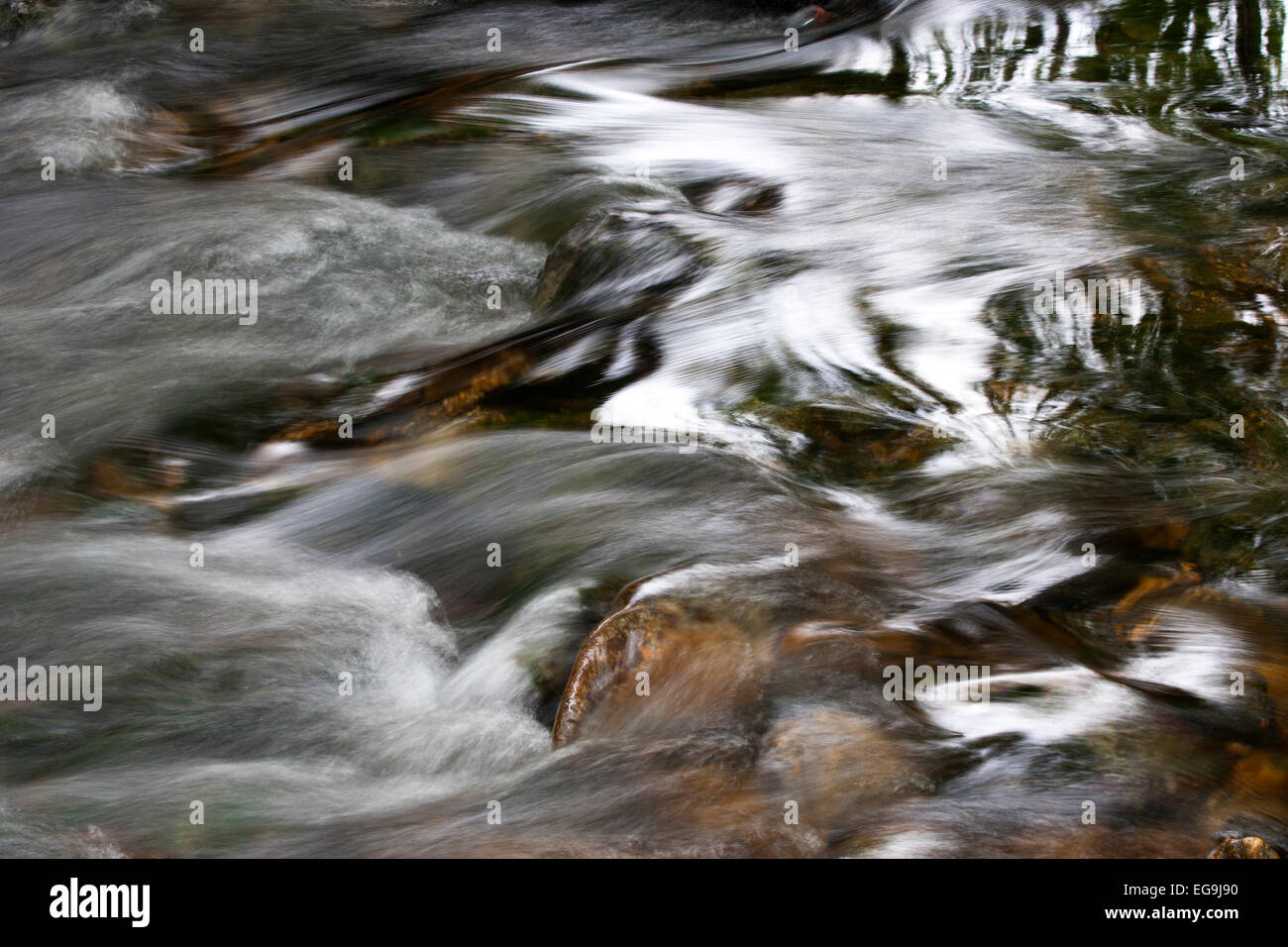 Running water, Mondseeland region, Salzkammergut, Upper Austria, Austria Stock Photo