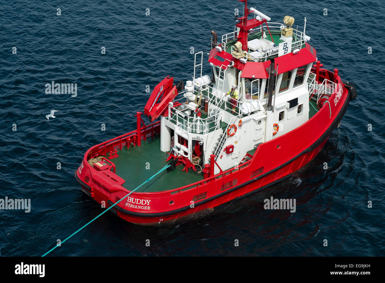 Tugboat 'Buddy' working in Stavanger harbour, Norway Stock Photo - Alamy