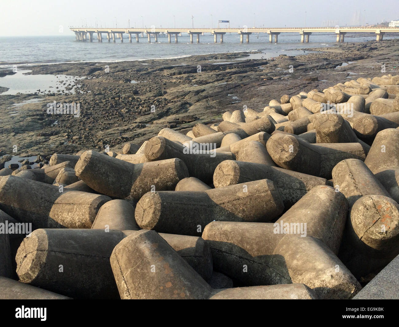 India, Mumbai, Concrete tetrapods on beach and bridge on background