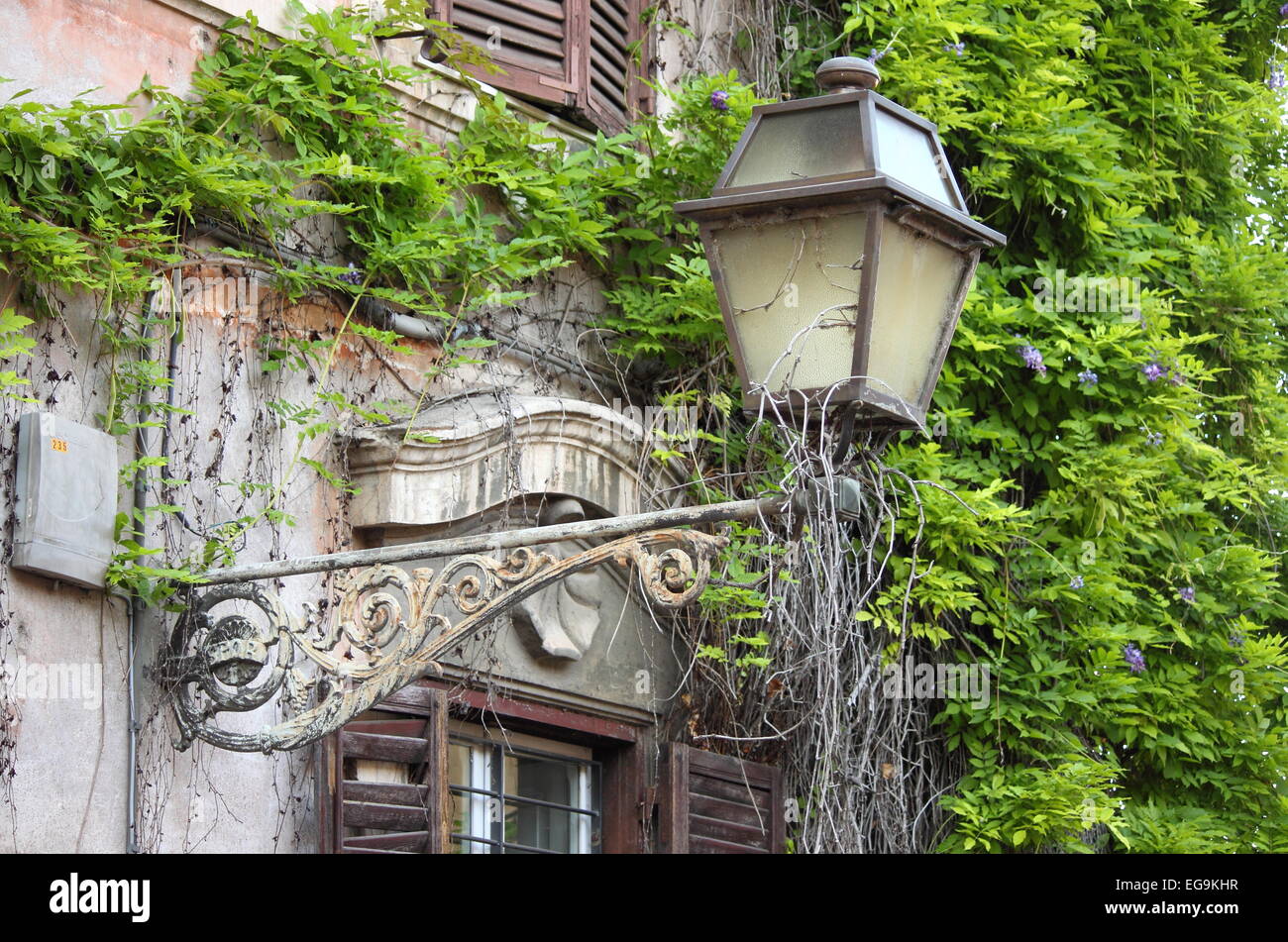 Old medieval street lamp on a wall covered by vegetation Stock Photo