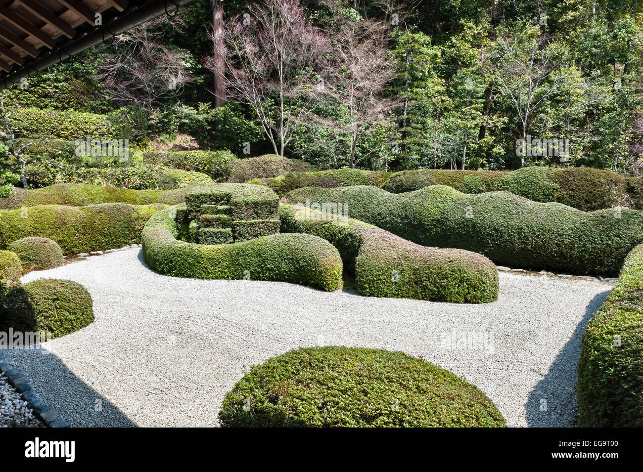 At the zen Buddhist temple of Daichi-ji, Shiga, Japan, the 17c Horai garden by Kobori Enshu is filled with snaking lines of clipped azaleas Stock Photo