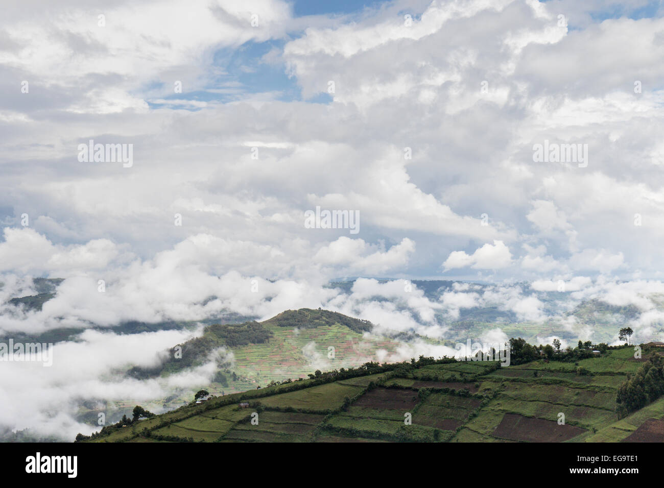 Hilly landscape in the Mbarara district, Uganda Stock Photo Alamy