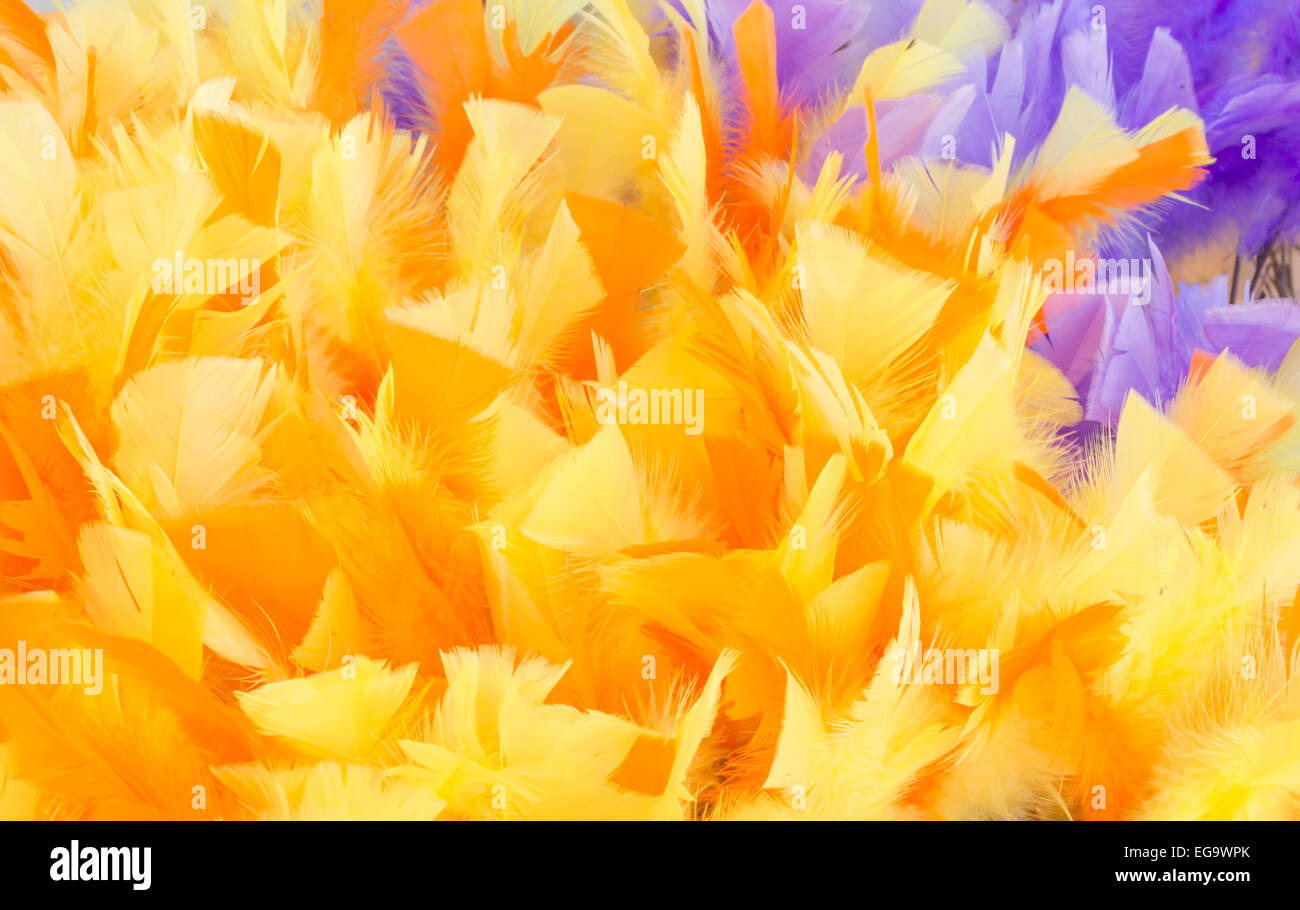 Yellow Feather Background, full frame with corner of purple feathers, Easter decoration. Stock Photo