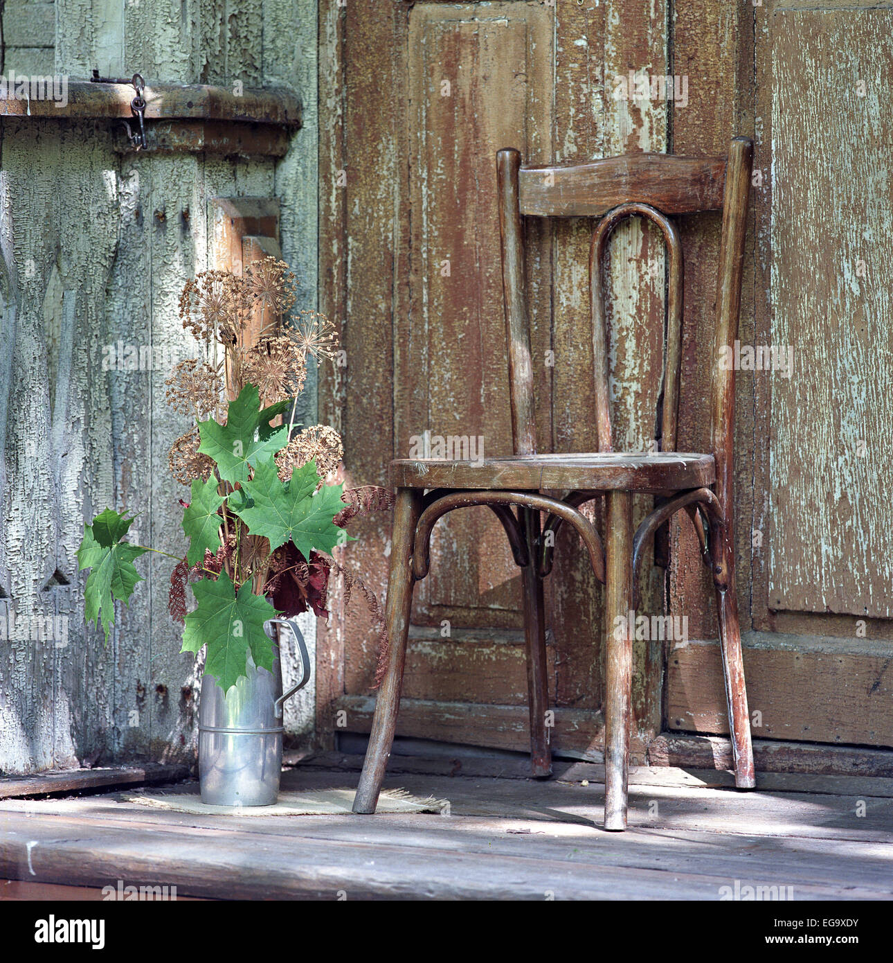 Old chair and maple leaves against rustic doors. Medium format film. Stock Photo
