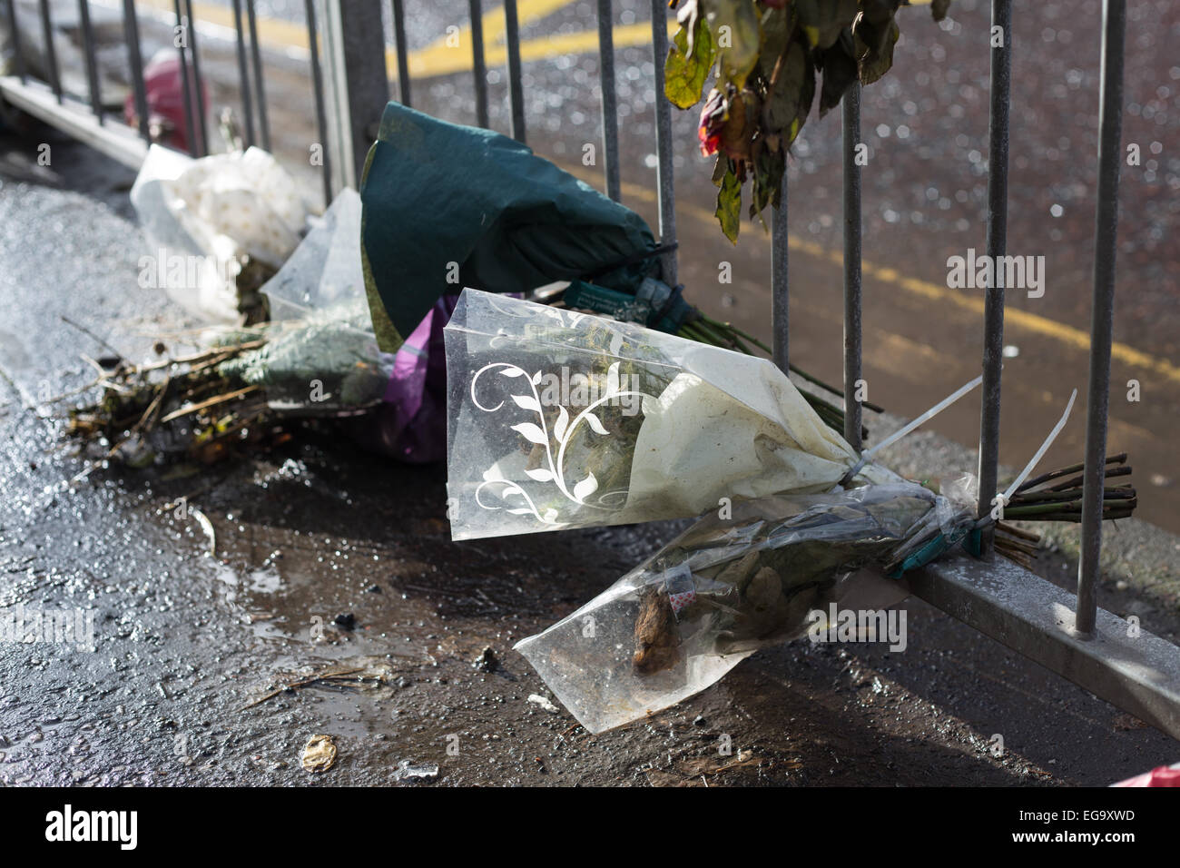 Flowers placed at roadside in remembrance of someone who has died in a