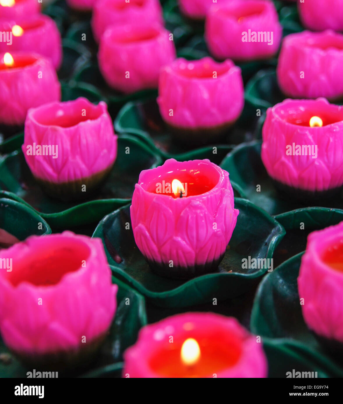 Pink candles floating on water, Buddhist shrine Stock Photo Alamy